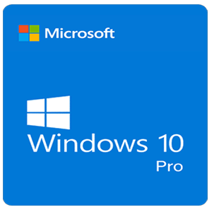 Window 10 Pro Logo